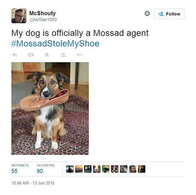 mossad-dog